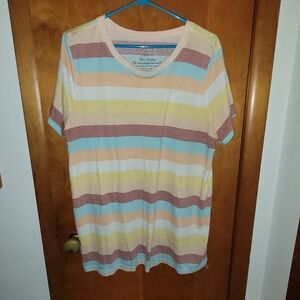 Torrid Stripe T-shirt
